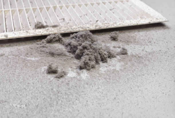 Best Home Air Vent Cleaning  in Everett, MA